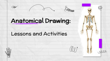 Preview of Drawing Human Anatomy: Activities and Lessons