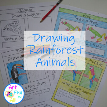 Drawing Rainforest Animals Inclusive Art Activity by Art Fun For All