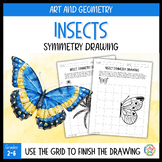 Drawing Symmetry Worksheets; Insects, Classroom Drawing Ac