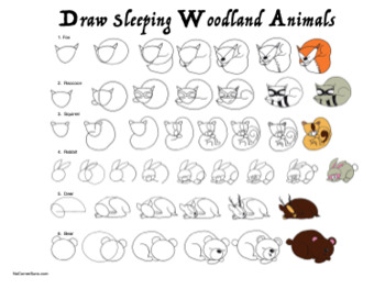 Drawing for the Elementary Art Curriculum: Sleeping Woodland Animals