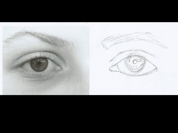 Drawing the Eye PowerPoint and Videos by Jewels | TpT
