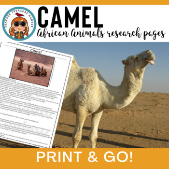 Dromedary Camel Africa animal research information article for writing ...