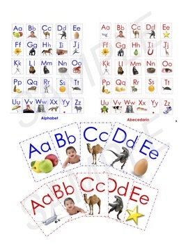 Preview of Dual Language Alphabet Cards with Real Pictures English and Spanish.