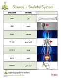 Arabic-English - Skeletal System - Dual Language Dictionar