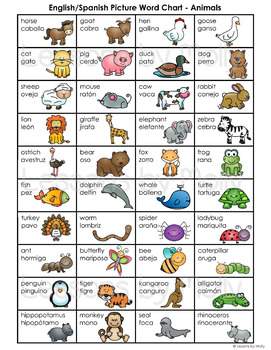 Spanish and English Language Learners Picture Word Matching Cards - Los