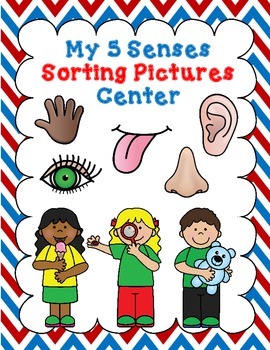 Preview of Dual Language My 5 Senses Picture Sorting Center