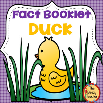 Preview of Duck Fact Booklet | Nonfiction | Comprehension | Craft