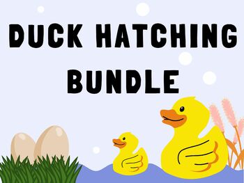 Preview of Duck Hatching Bundle - posters, notebooks, diagrams, activities, parent letters