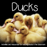 Duck Hatching Resource and Activity Packet