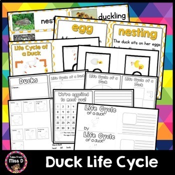 Preview of Duck Life Cycle
