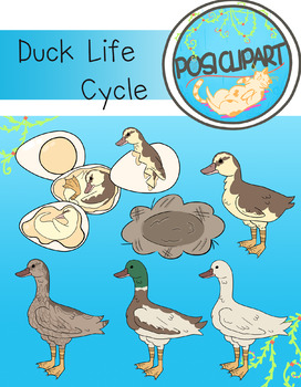 Ducklife 3: My Life Cycle! by Ducklife3334 on DeviantArt