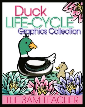 Preview of Duck Life-Cycle Graphics / Clip Art