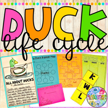 Preview of Duck Life Cycle Activities Life Cycle of a Duck Duck Life Cycle
