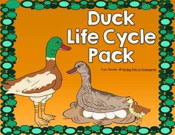 Preview of Duck Life Cycle Pack with Observation Journal