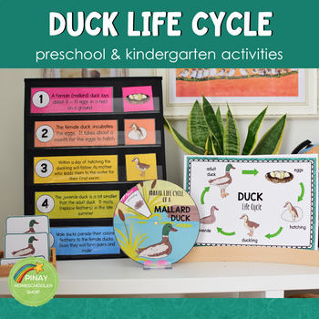 Duck Life Cycle Sequence Cards by Teach Simple