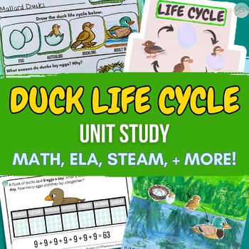 Preview of Duck Life Cycle Unit for Upper Elementary - Math, STEAM, ELA, and Geography!