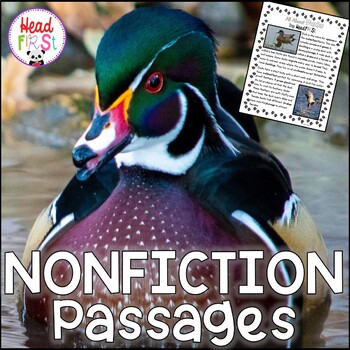 Preview of Ducks Passages with Comprehension Questions and Writing Activities NO PREP