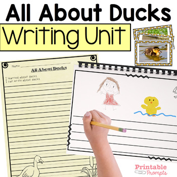 Preview of Duck Writing Unit with Research Report, Opinion, and Narrative Prompts