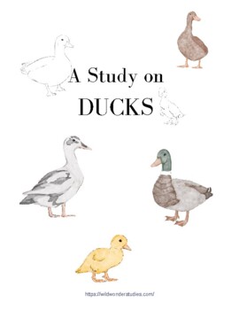 Preview of Duck Study