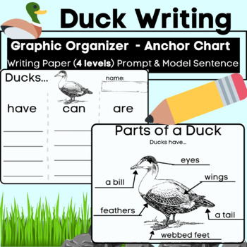 Preview of Duck Writing and Labeling- Informative (Have Can Are) Animal Anchor Charts