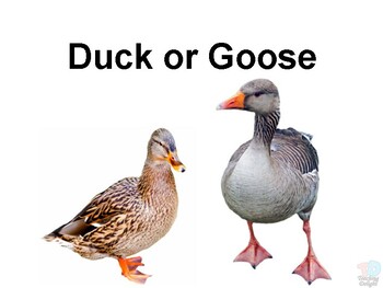 Preview of Duck vs Goose (PDF File)