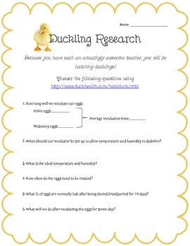 Preview of Duckling Hatching Research and Candeling lab