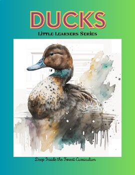 Preview of Ducks - Little Learners Series