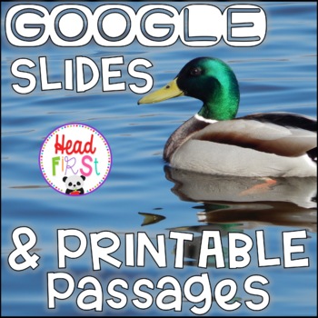 Preview of Ducks NONFICTION GOOGLE SLIDES and PRINTABLE Passages and Activities