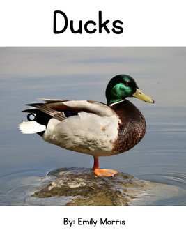 Preview of Ducks - Nonfiction Digraphs Decodable Reader - Print and Ebook