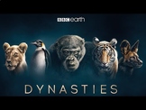 Dynasties: The Greatest of Their Kinds - 5 Episode Bundle 
