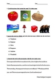 Dyslexia Worksheet for Primary School