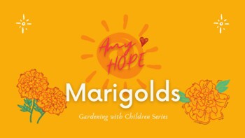 Preview of E-Book on Marigolds
