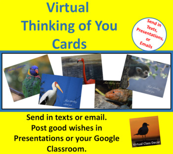Preview of Virtual E-Cards - Zoo Set - Thinking of You
