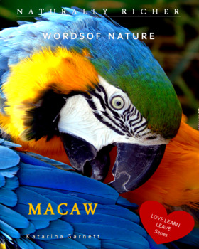 Preview of E-book   MACAW