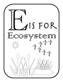 E is for Ecosystem- Alphabet and Vocabulary Coloring Pages