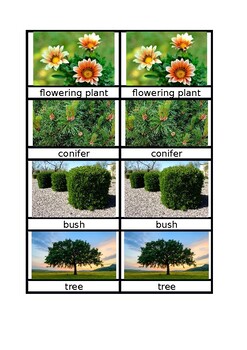 Preview of EAL: Parts and types of plants (memory game)