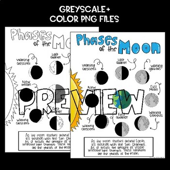 EARTH SCIENCE SCAFFOLDED NOTES/ANCHOR CHART: Phases of the Moon | TPT