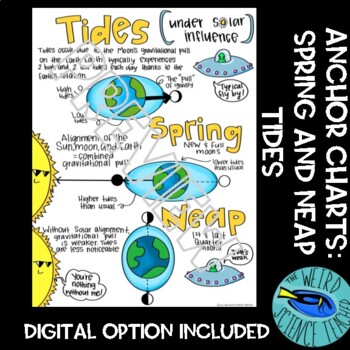 Preview of EARTH SCIENCE SCAFFOLDED NOTES/ANCHOR CHART: Spring and Neap Tides