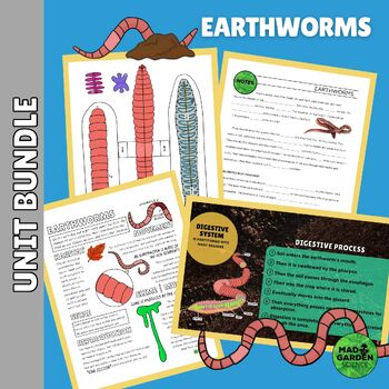 Preview of EARTHWORM Bundle: Illustrated notes | Paper Dissection Model | Google Slides