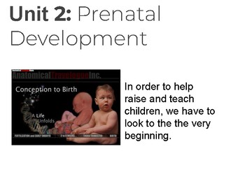 Preview of ECE 1 - Prenatal Development Powerpoint w/ Videos