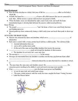 Preview of ECE 1 - Theorist and Brain Development Guided Notes