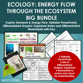 Preview of ECOLOGY BIG BUNDLE: Trophic Elements, Energy Flow with PPT, Notes & Worksheets