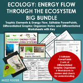 ECOLOGY BIG BUNDLE: Trophic Elements, Energy Flow with PPT