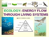 ECOLOGY: Energy Flow, Trophic Levels, Food Chains, Food Webs PPT