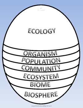 ECOLOGY Levels of Organization Stacked Foldable Cut and Paste Def.Posters