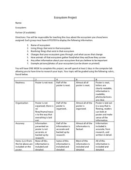 Preview of ECOSYSTEM Project guidelines/grading rubric