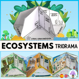 Triorama Ecosystem project- Biomes- Ecosistemas/ Biomas.  