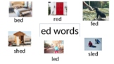ED word family/cvc words Flashwords