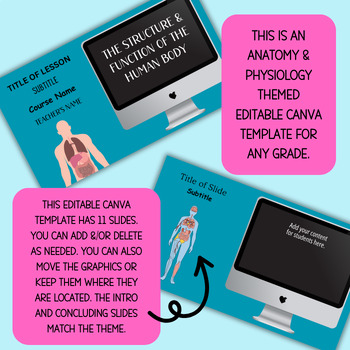 Preview of EDITABLE Anatomy and Physiology Canva Template with 11 Slides for Content