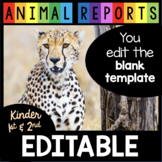 EDITABLE Animal Reports for kindergarten and first grade w